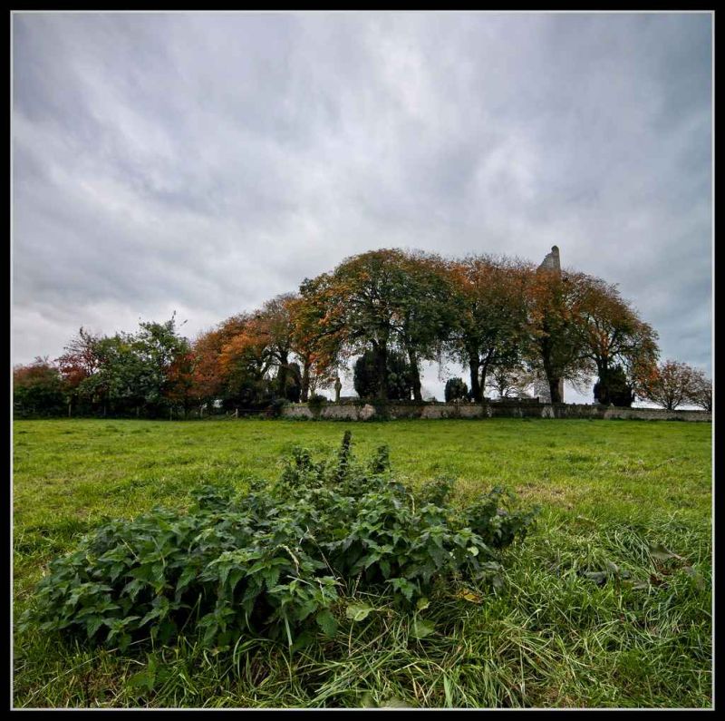monasterboice - vertorama.jpg